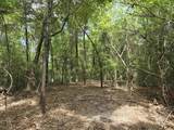 1131 Wolf Log Road - Photo 9