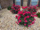 622 Royal Troon Circle - Photo 4