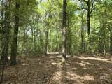 1131 Wolf Log Road - Photo 1