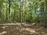 1131 Wolf Log Road - Photo 3