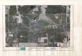 12960 County Road 48 - Photo 1