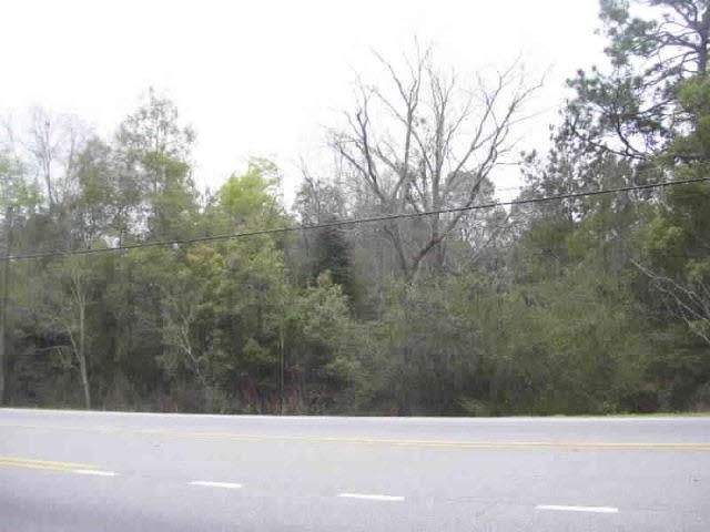 7500 Spanish Fort Blvd - Photo 1