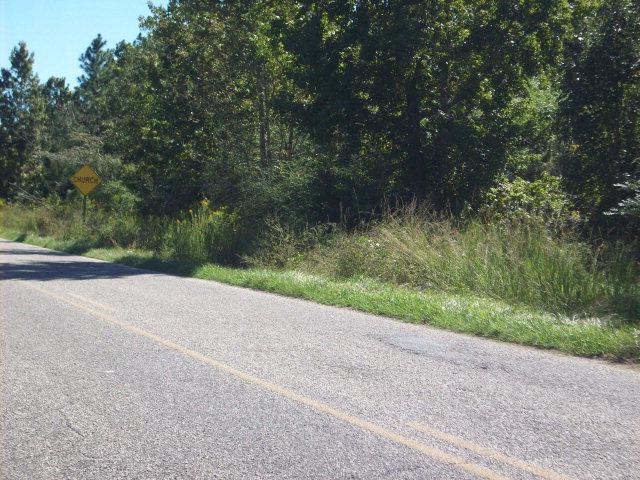 43 Woods Road - Photo 1