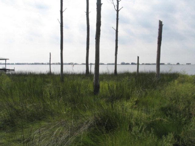 0 Highway 180 - Photo 1