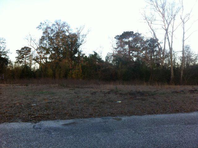 923 Titi Street - Photo 1