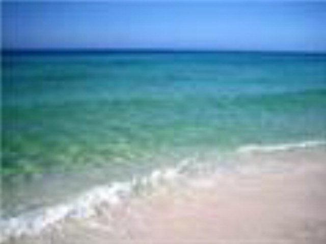 14795 Perdido Key Dr - Photo 1