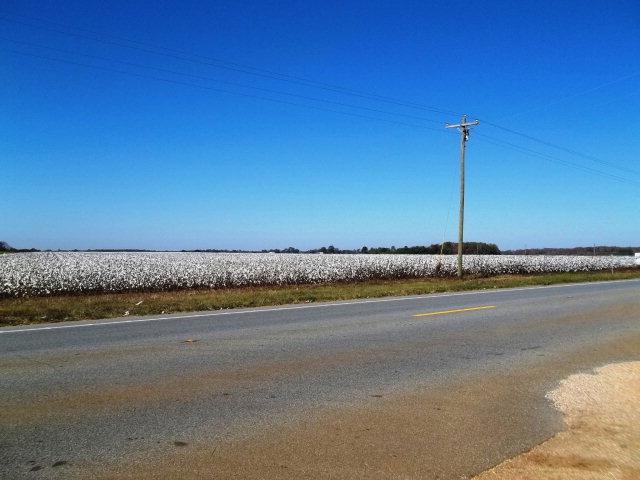 10400 Highway 97 - Photo 1