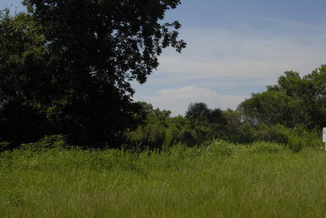 0 Brinks Willis Road - Photo 1