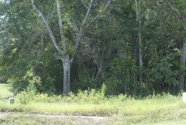 0 Keller Rd - Photo 1