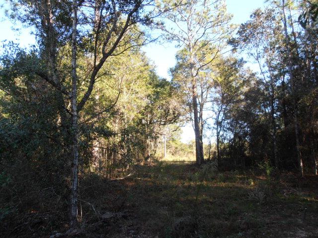 9268 Soldier Creek Rd - Photo 1
