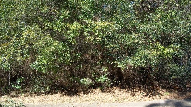 2785 Manuel Dr - Photo 1