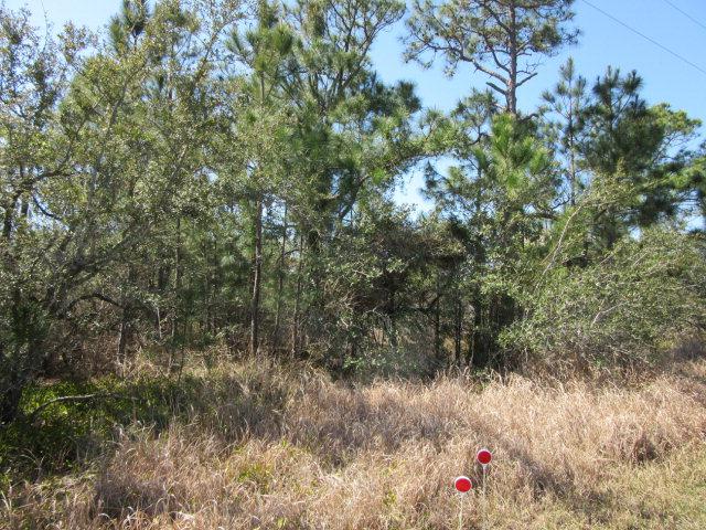 0 Bonita Lane - Photo 1