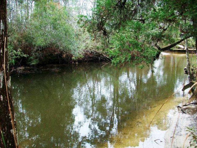 0 Woodland Drive - Photo 1