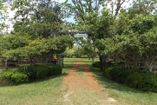 14410 County Road 83 - Photo 1