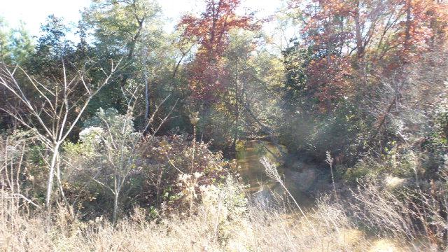 226 County Road 359 - Photo 1