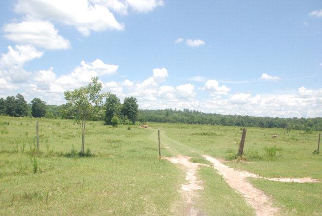 0 Us Highway 31 - Photo 1