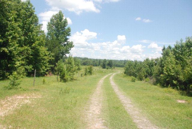0 Us Highway 31 - Photo 1