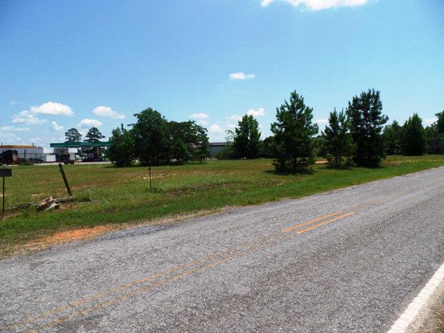 87 Highway 84 - Photo 1
