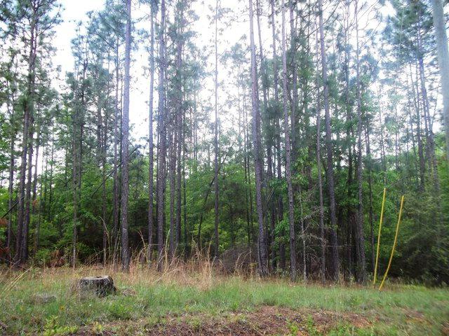 500 South Road - Photo 1