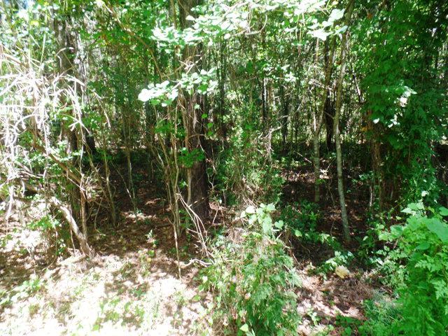 0 Lanier St - Photo 1