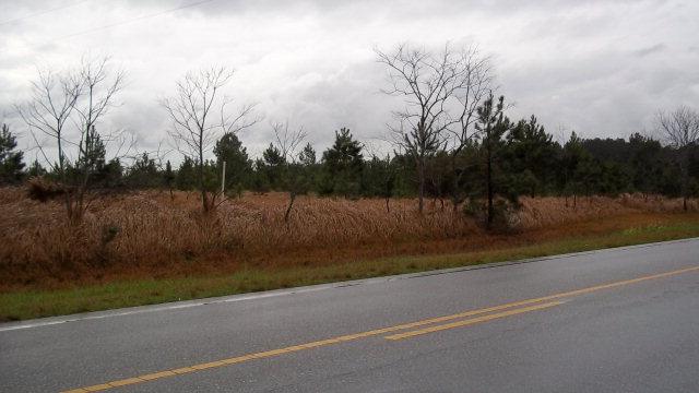 0 County Road 87 - Photo 1