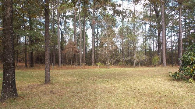 23981 Sims Rd - Photo 1