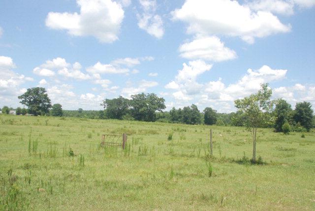 0 Us Highway 31 - Photo 1