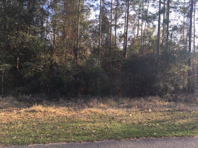 0 Timber Creek Drive - Photo 1