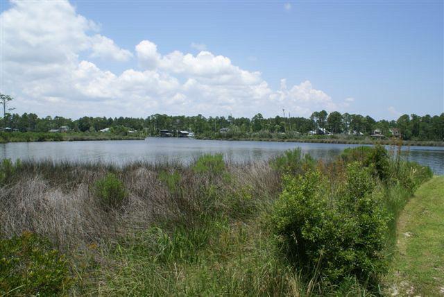 3 Bella Lane - Photo 1