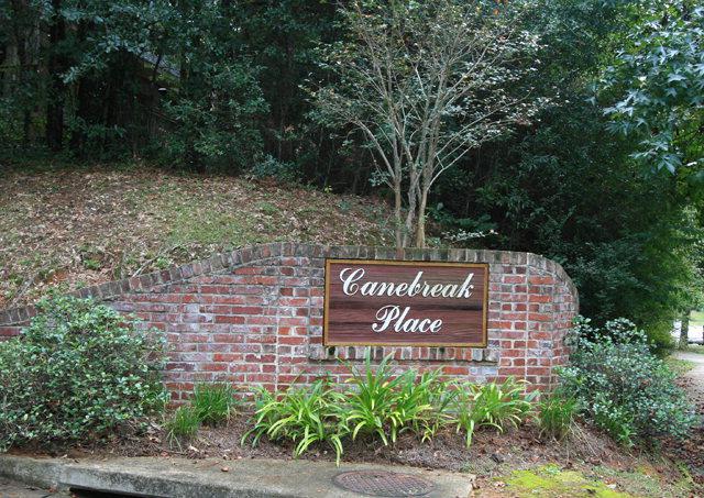 10 Canebreak Place - Photo 1