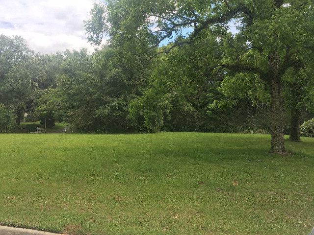0 Stillwood Ln - Photo 1