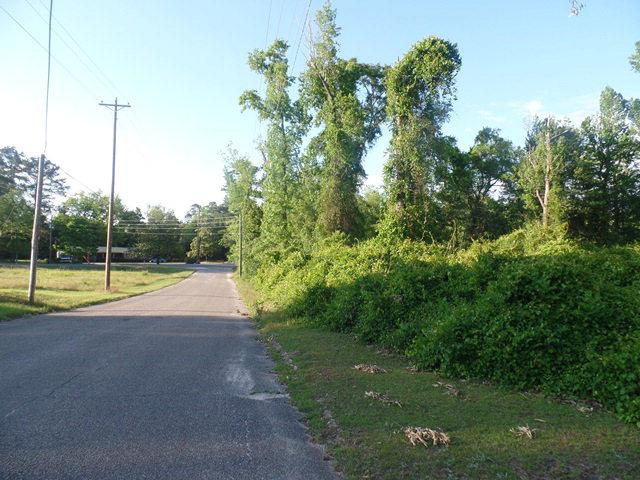 1 Schad Street - Photo 1