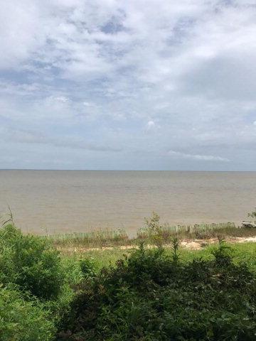 12955 Dauphin Island Pkwy - Photo 1