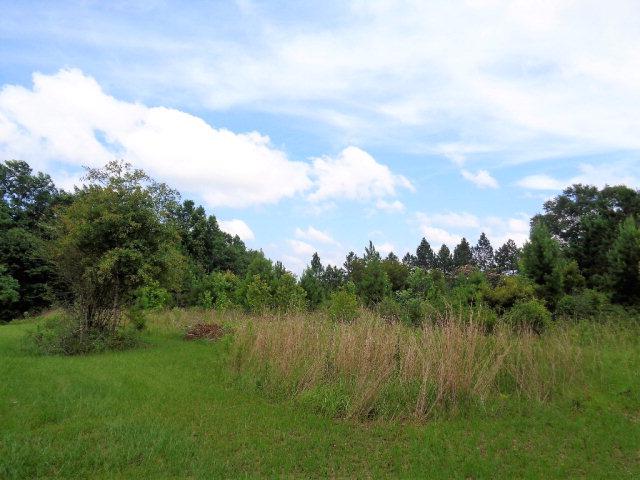 23595 County Road 47 - Photo 1