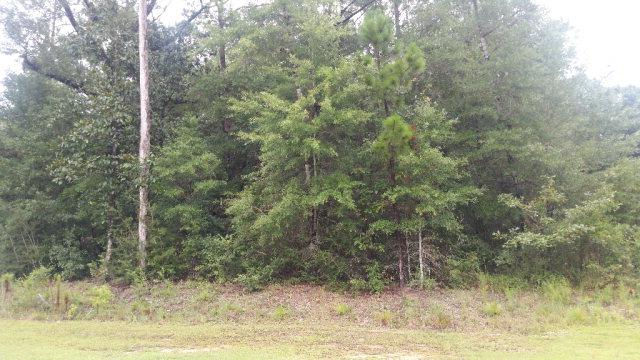 0 Acorn Knoll Drive - Photo 1