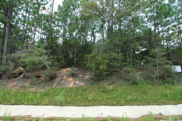 0 Timber Ridge Dr - Photo 1