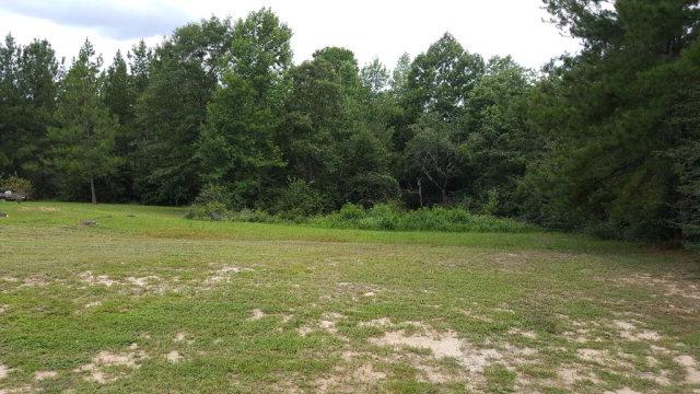 0 Highway 45 - Photo 1