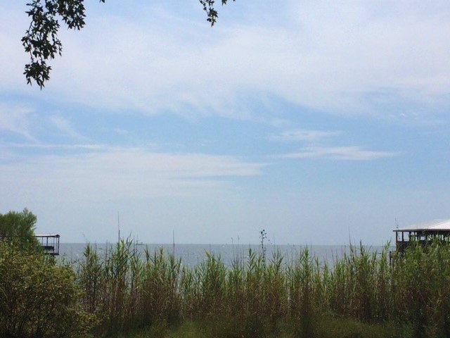 0 County Road 1 - Photo 1