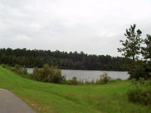 0 Lake Juniper Rd - Photo 1
