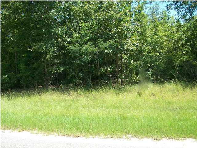 0 County Road 42 - Photo 1