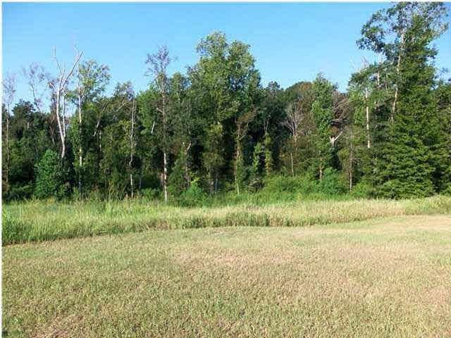 9822 Traveler Way - Photo 1