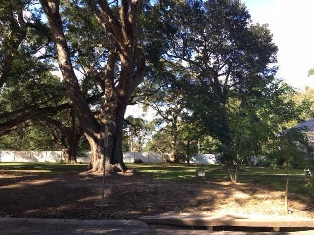 0 Council Oaks Lane - Photo 1