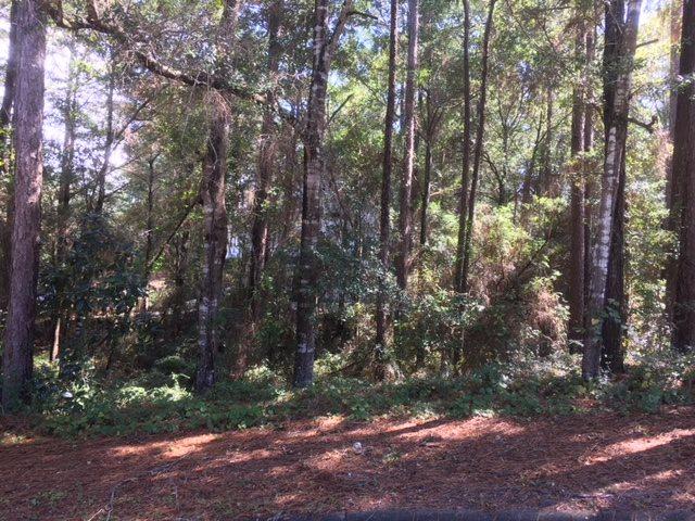 101 Pippin Cir - Photo 1
