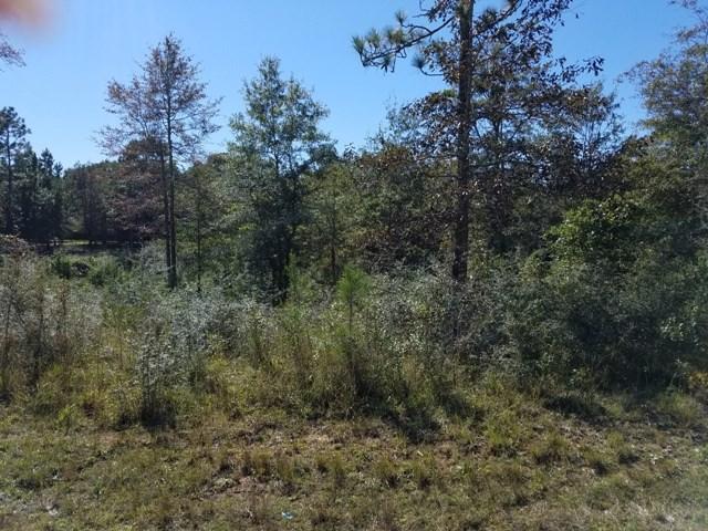 00 County Road 39 - Photo 1