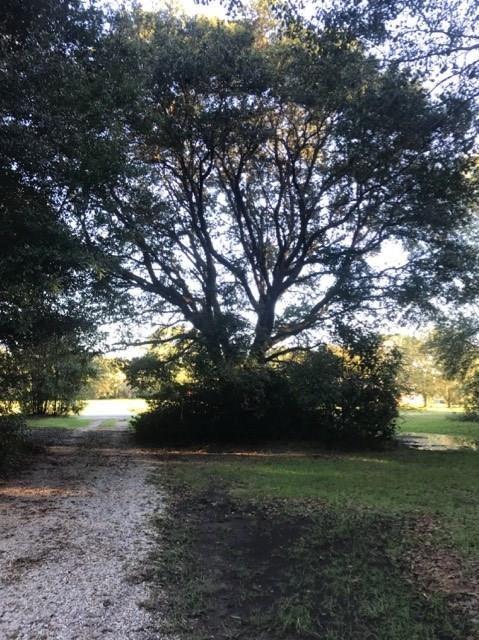 10862 County Road 48 - Photo 1