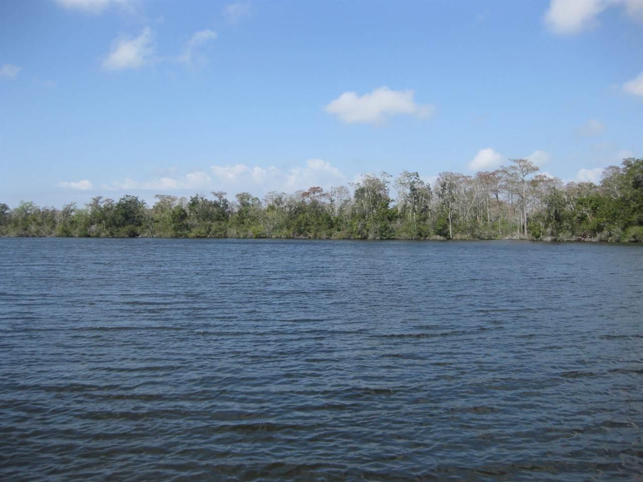 14131 County Road 9 - Photo 1
