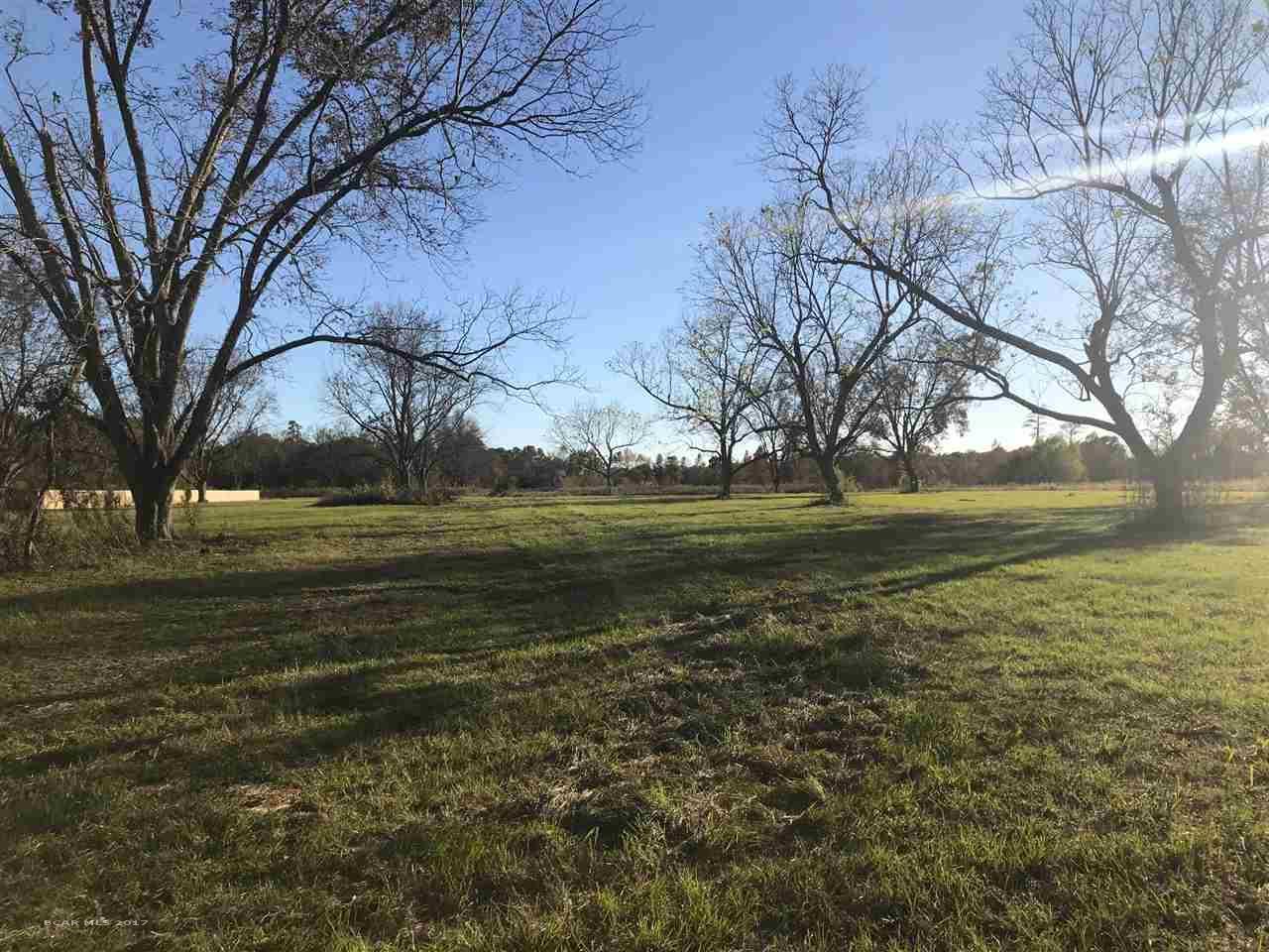 0 Old Brady Rd - Photo 1