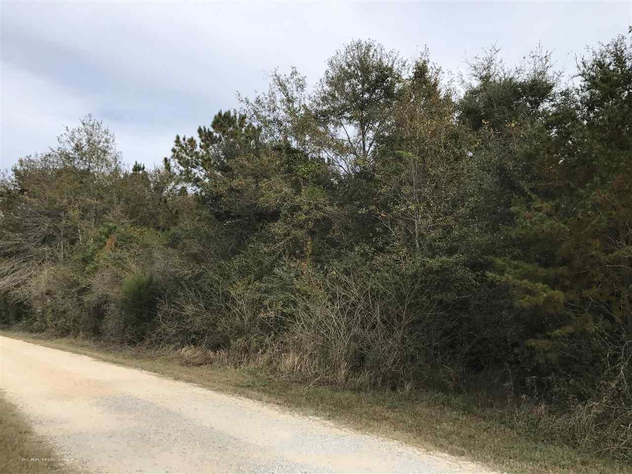 0 River Road - Photo 1