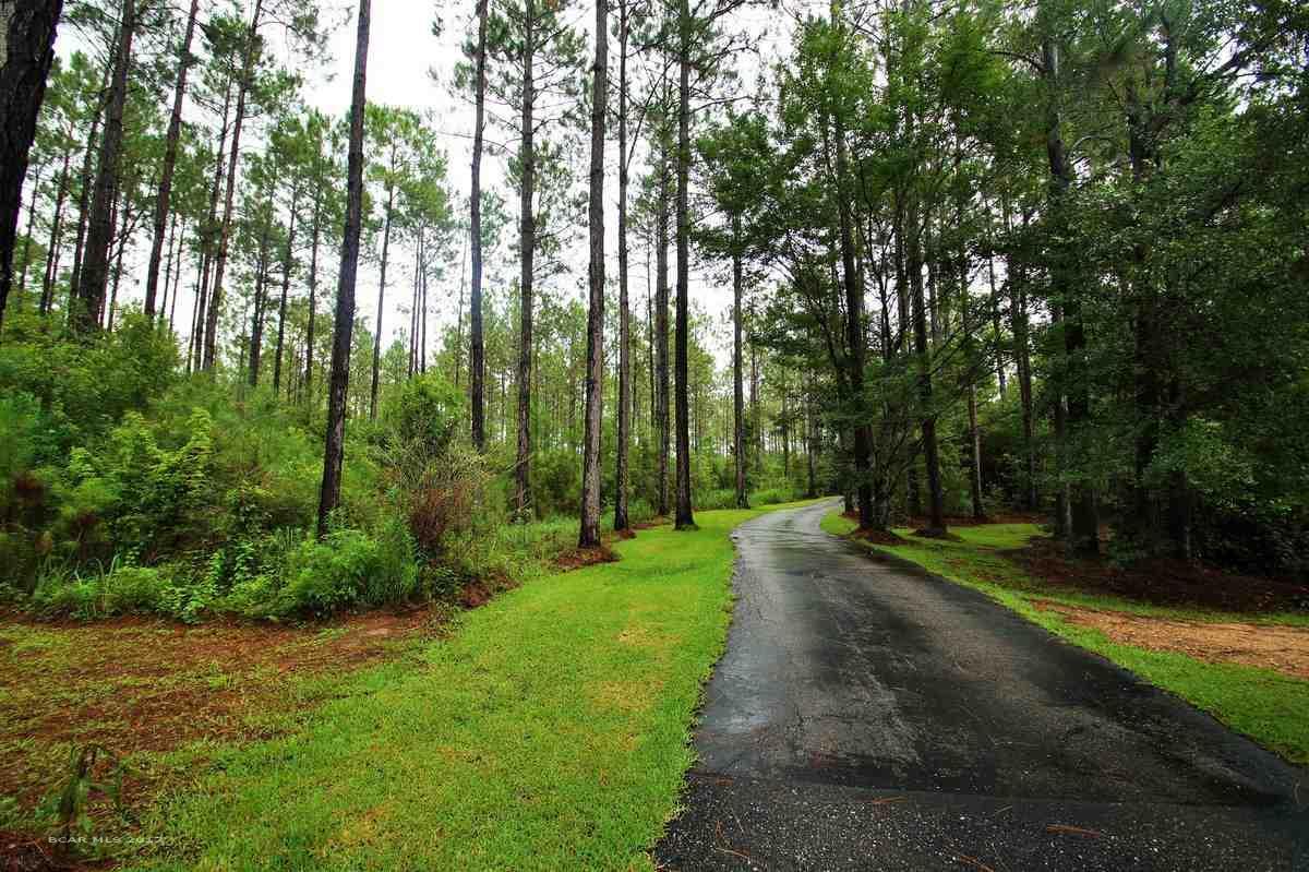 28551 Rose Run Rd - Photo 1