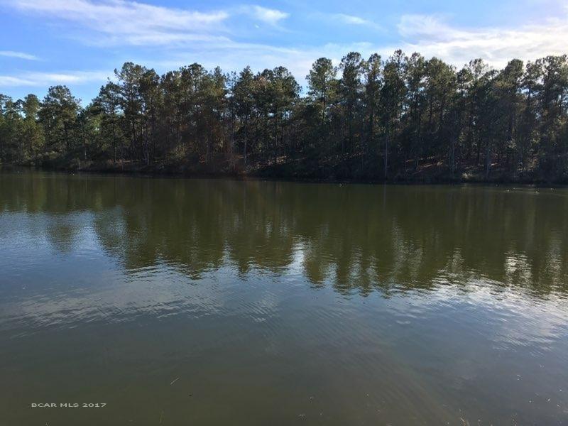 15 Lake Blvd - Photo 1